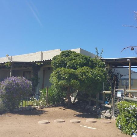 The Stables Accommodation 兰格班 外观 照片