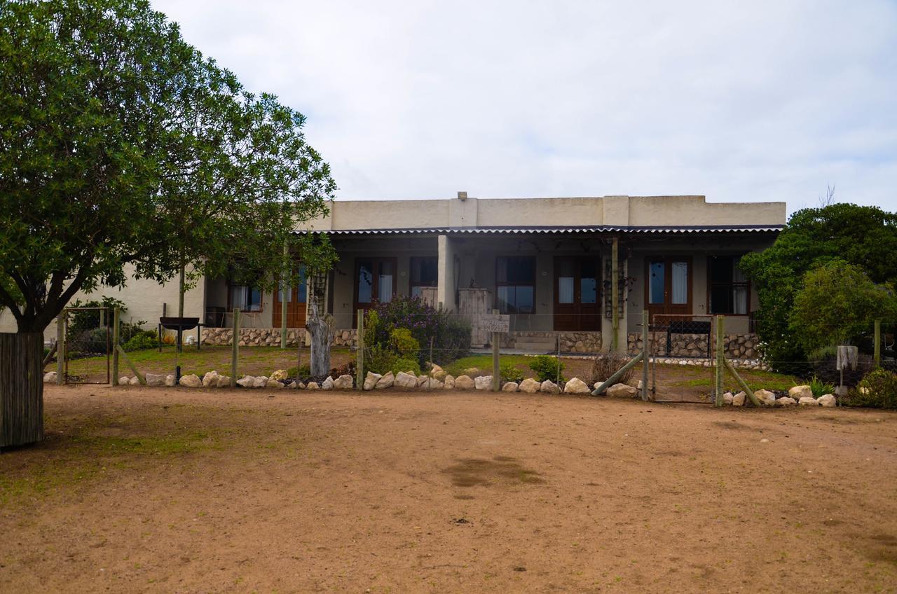 The Stables Accommodation 兰格班 外观 照片