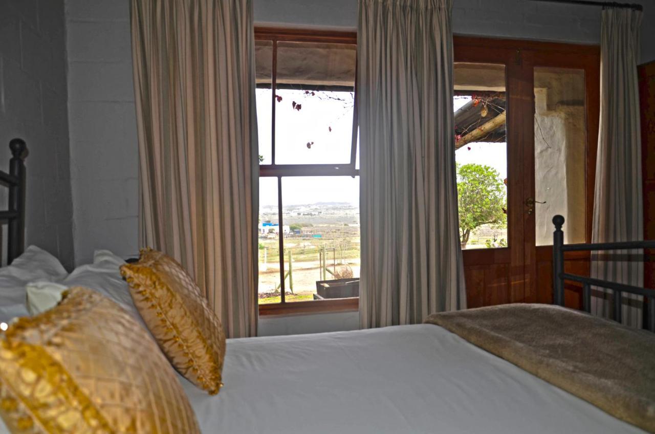 The Stables Accommodation 兰格班 外观 照片